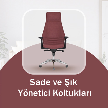 4 sade ve sik yonetici koltuklari